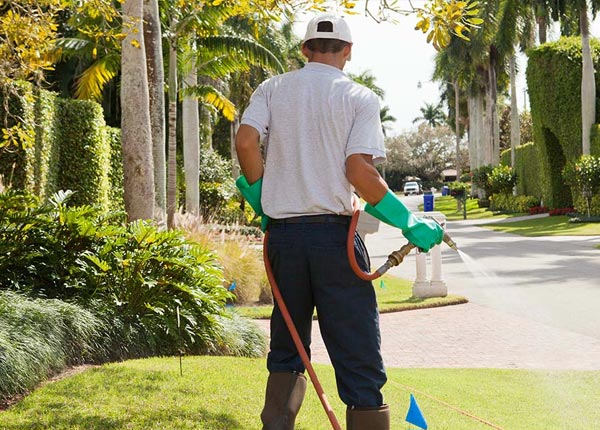 About Freeport MI Pest Control